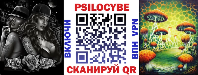 Купить где  Анжеро-Судженск  Галлюциногенные грибы Psilocybe 