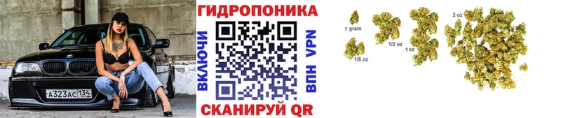 Купить закладки  Анжеро-Судженск  Канабис тримм 